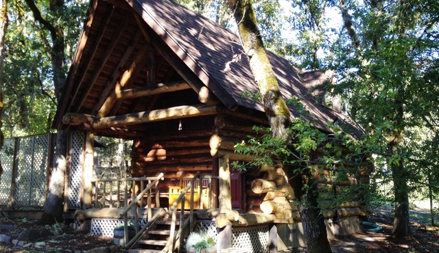 Little Log Cabin in the Woods!