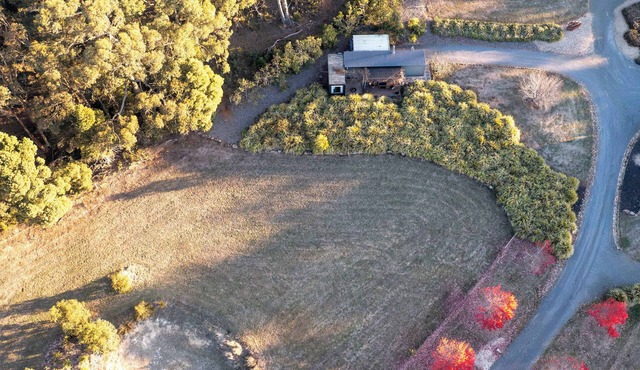 Little Maple near Daylesford