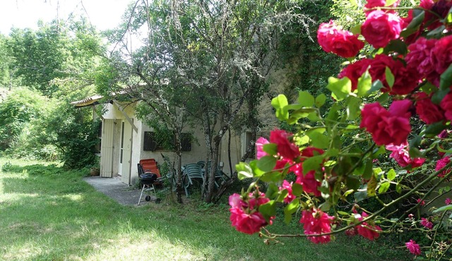 Little Mas in full nature area