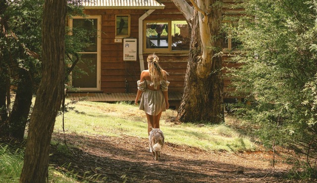 Little Olive Cabin - Nestled into the foot of Mount Buffalo and central to the most popular tourist attractions in the North East of Victoria. Lovers of quirky eclectic style will bask in the retro and vintage vibes of The Little Olive Cabin.