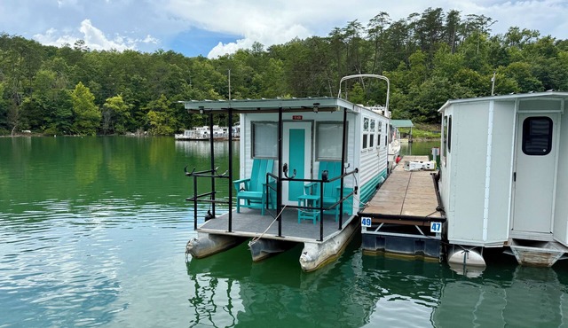 Little Palm Tiny Houseboat on Norris Lake!