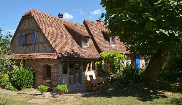 Little paradise 10 minutes from Strasbourg