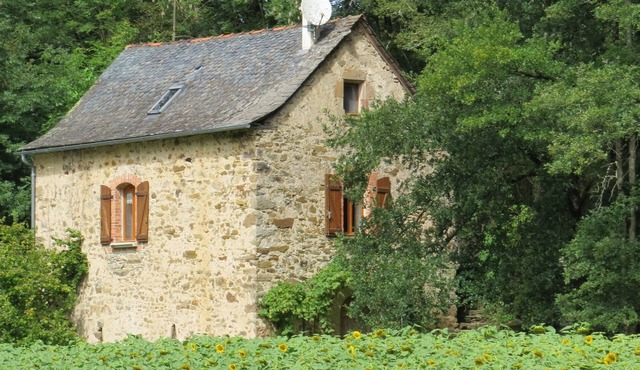 Little Peaceful House in Nature
