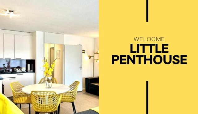 Little Penthouse *