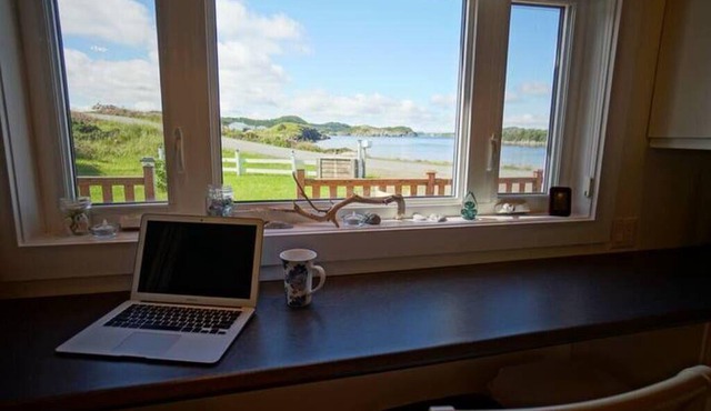 Little Pike Summary: