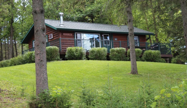Little Pine Cabin; a charming retreat for couples