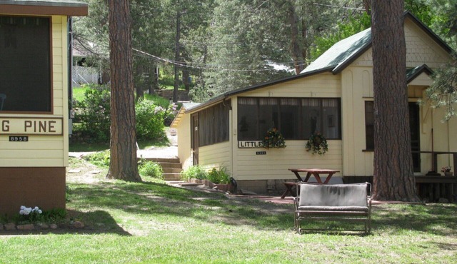 Little Pine Cabin/1 bed, 1 Bath