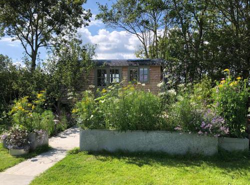Little Plovers Shepherd Hut