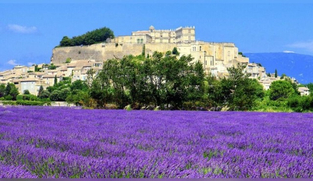 Little Provence cottage in Valaurie