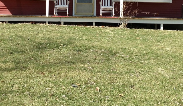 Little Red cabin by The Spoon River