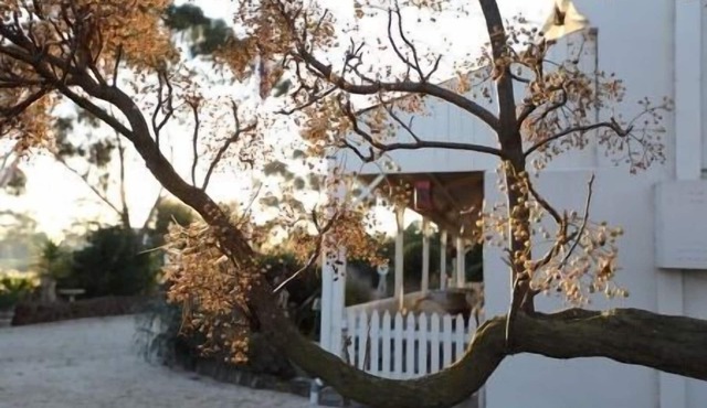 Little River Bed & Breakfast