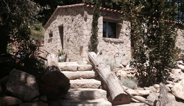 LITTLE SHEEP TYPICAL STONE