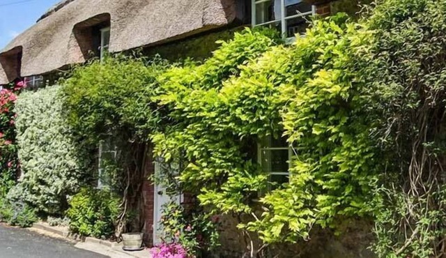 LITTLE THATCH, romantic, luxury holiday cottage in Cerne Abbas