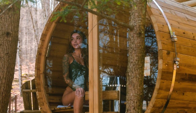 Little Timber Lodge - 3BD Modern Wellness Retreat. Sauna, Cold Plunge, 2 Acres