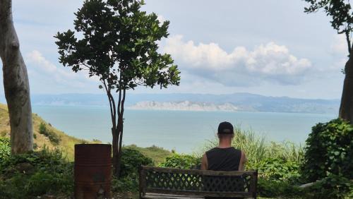 Little Turanga Heights