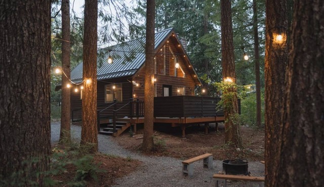 Little wolf cabin King bed dog friendly Mt Baker