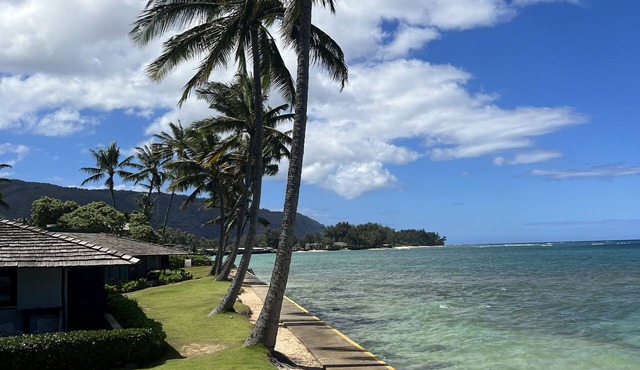 Live like a Local. Stay at a Beautiful Boutique Get Away Mokuleia Beach Colony