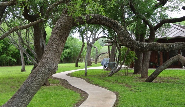 Live Oaks Bed and Breakfast