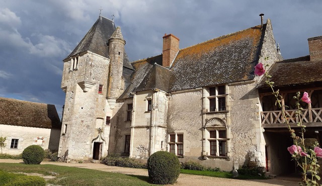 Live the life of a chateau in the middle of the Loire castles, near Beauval