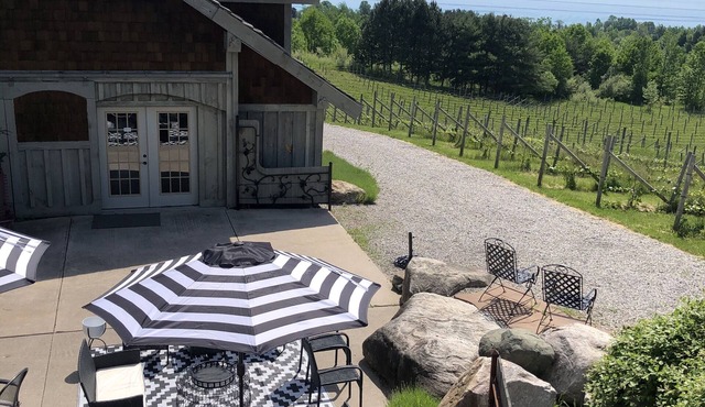 Live the Vineyard Life at The Grand View 2 @ Willow Winery