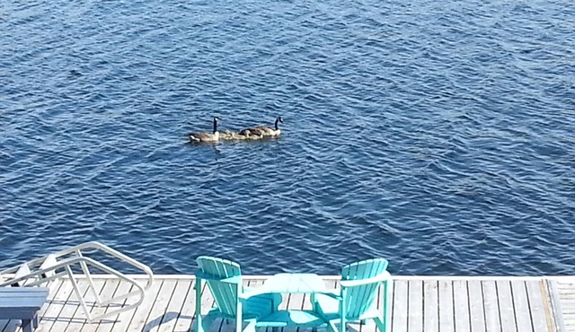 Live your Best Life at the Lake