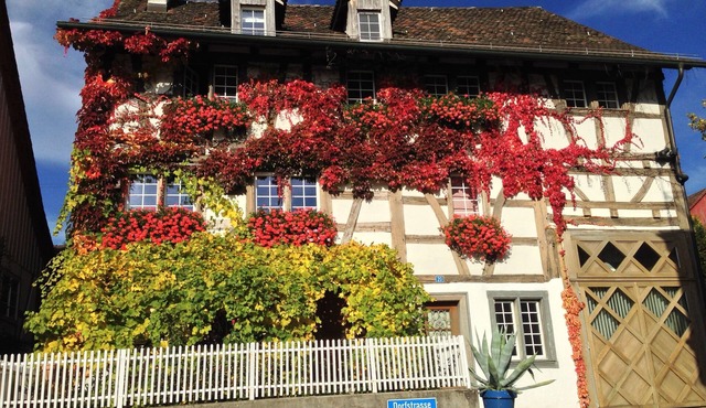 Living in a house with 300 Years history , 2 minutes to Rheinfall
