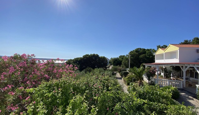 Living in the olive grove with a sea view