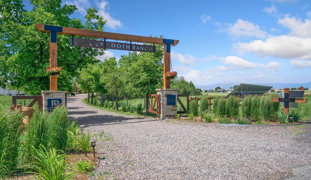 Llama-stay at Spooky Tooth Ranch – Mtn Views!