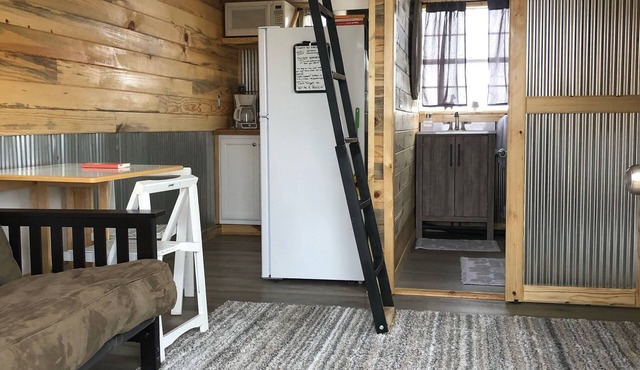 Llamaste at our Llama Dude Ranch