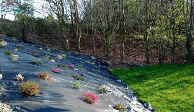 Llandovery - Cabin - Sleeps 2 - Parking - Garden