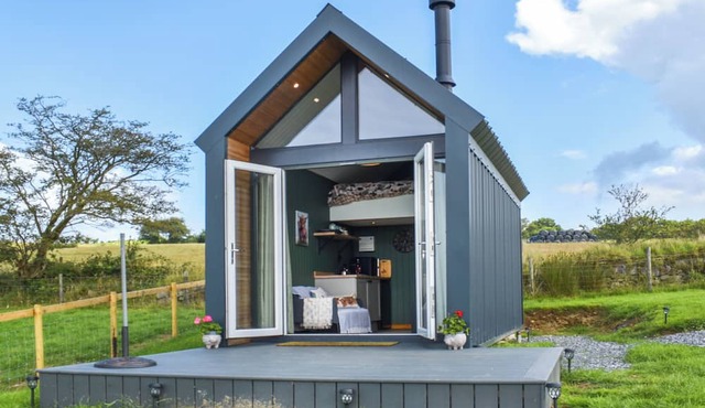 Llandremor Fawr Lodge - UK50336