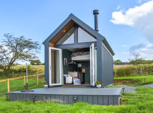 Llandremor Fawr Lodge - Uk50336