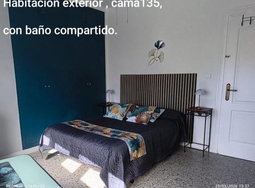 lo flamenc @Amposta