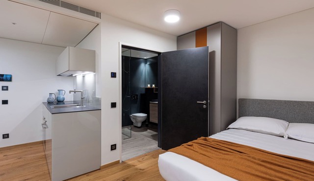 Lo Scudo di Stabio 1 Zi.Studio Süd. by Interhome