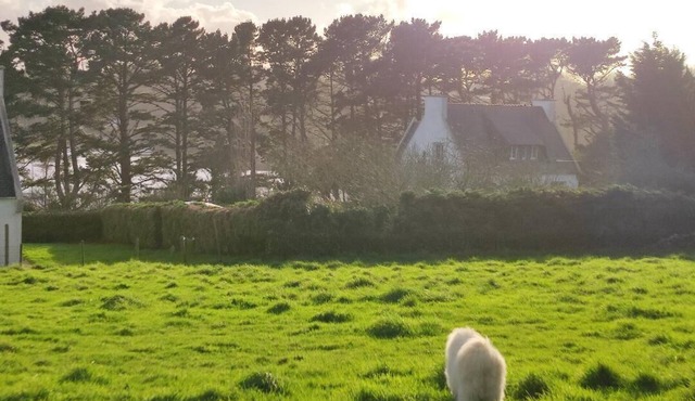 Loarwenn, spacious villa overlooking the Aber wrach