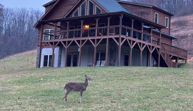 Located 3.6 miles from Pineville.near HM pinnacle trail. Mins from state park!