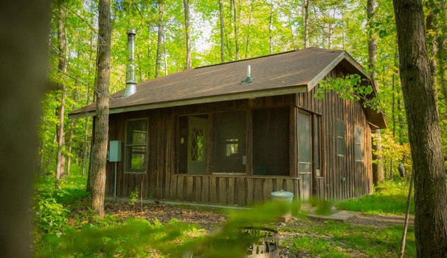 Located at the Heart of the Solana State Forest in Amongst the Forest Trees