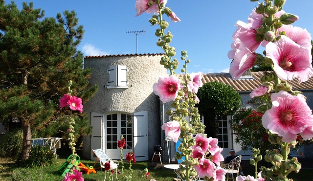 located in an "old small fishing village" near the lighthouse of Chassiron