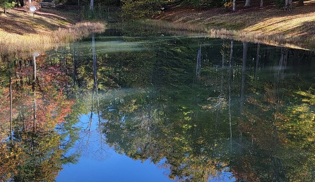 Located minutes from golf & a nature reserve, stay in a private 5 acre oasis