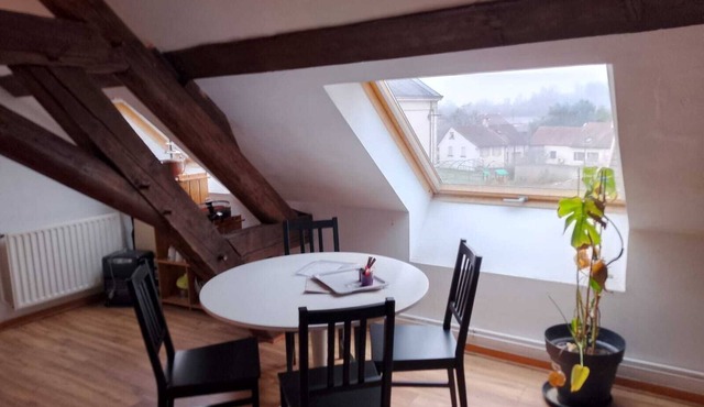 LOCATED ON THE BANKS OF THE SAONE, THIS APARTMENT IS IDEAL FOR DISCOVERING THE REGION.