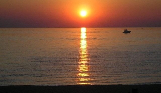 LOCATED ON THE GOLDEN MILE. WALK TO TOWN. 2 BEACHES WITHIN 300FT