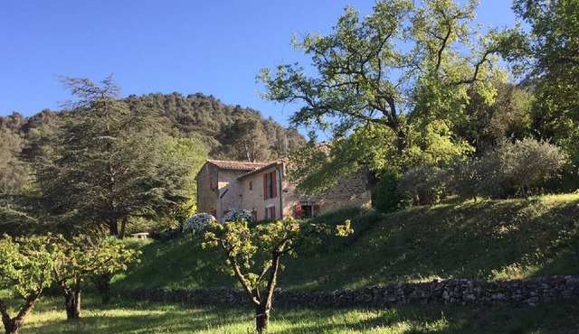 Located pretty Provencal villa with guest house and big pool in Menerbes