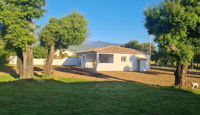 Location Appartement Dans Villa