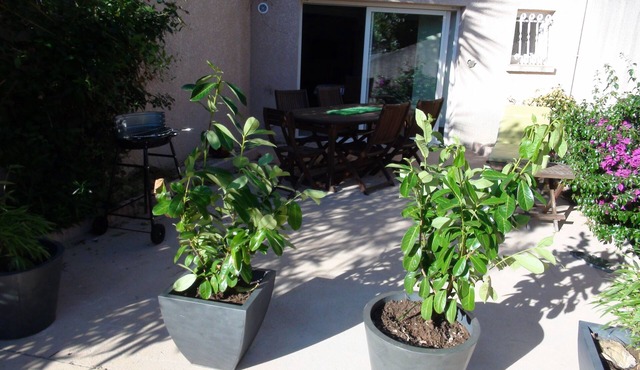 Location Appartement Alata Proche Ajaccio