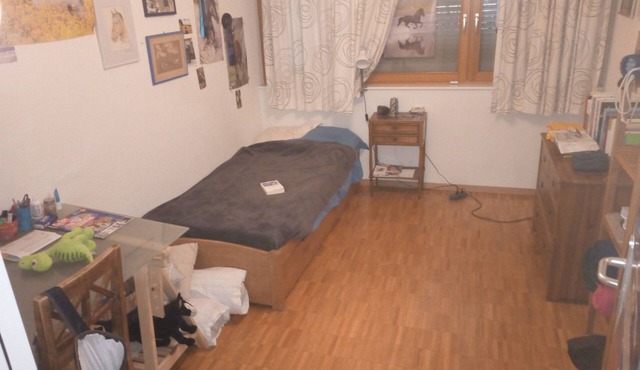 Location Appartement Semaine de Noël Proche Lausanne
