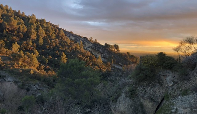 Location Avec Vue Exceptionnelle au Pied des Dentelles de Montmirail