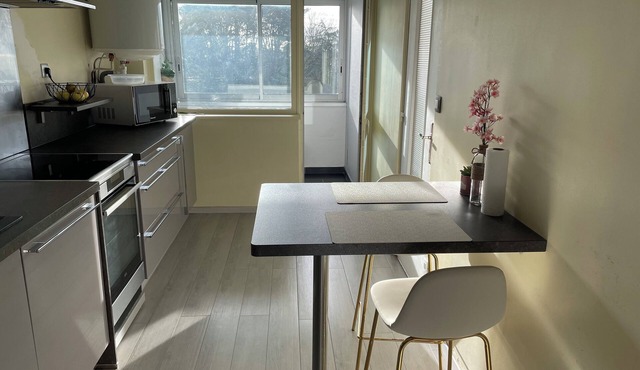 Location Chambre Chez L'habitant, Presque Location de Tout L'appartement