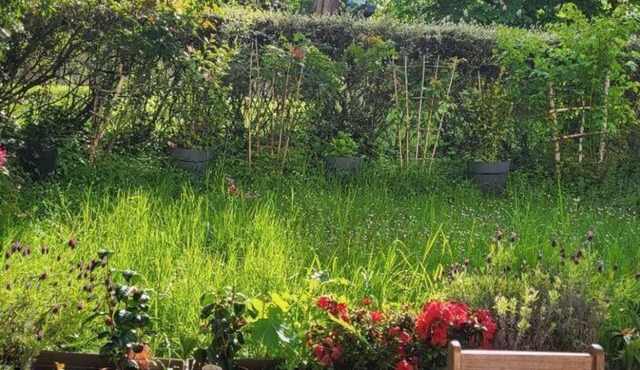 Location Courte Durée Pour les JO de Paris - Bel Appartement 4 a 6 Personnes