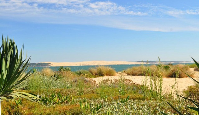 location de vacances Bassin Arcachon