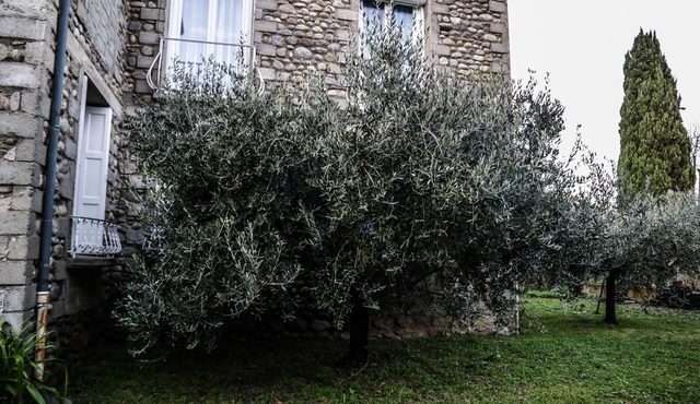 Location du Canigou, Gîte 6 people. Hiking, Heritage, Festivals, Cures.